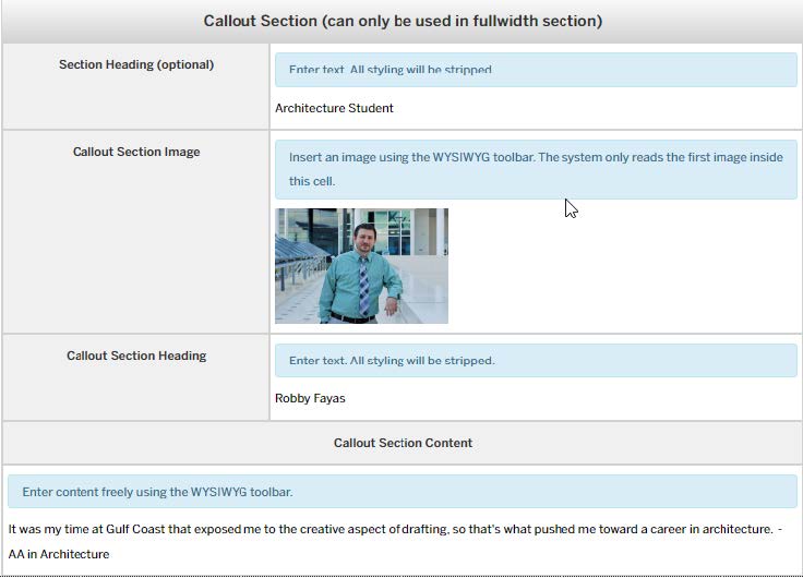 Image showing Insert Callout Section